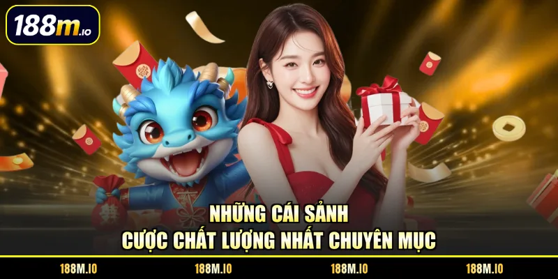 Những cái sảnh cược chất lượng nhất chuyên mục